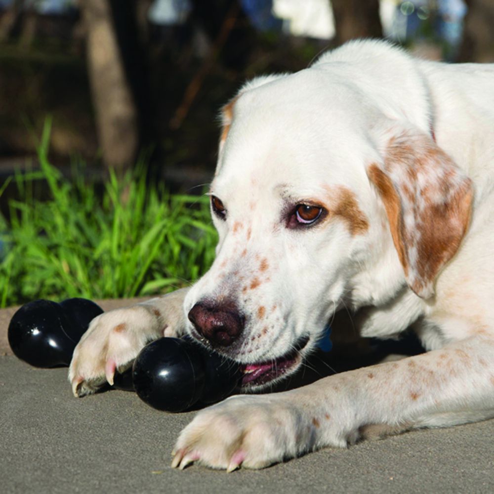 Kong Extreme Goodie Bone 10012 Dog Toy, M, Bone, Rubber, Black