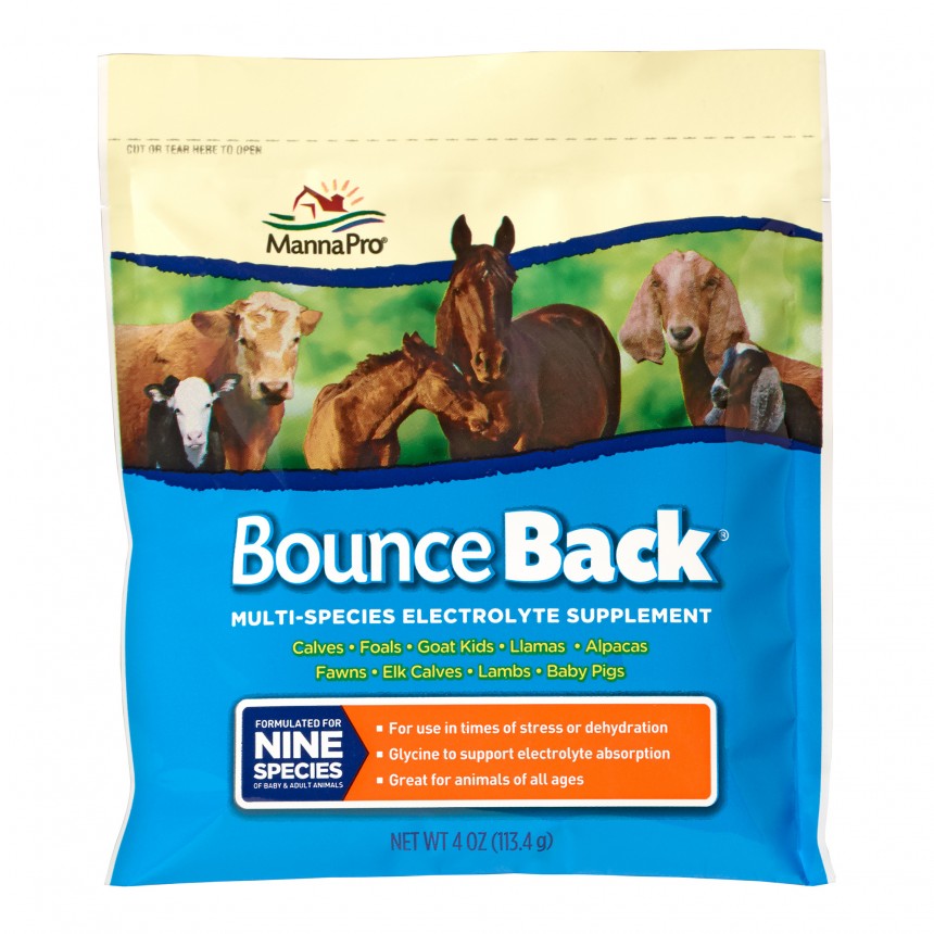 Manna Pro Bounce Back 1000352 Electrolyte Supplement, Dry, All Ages Lifestage, 4 oz