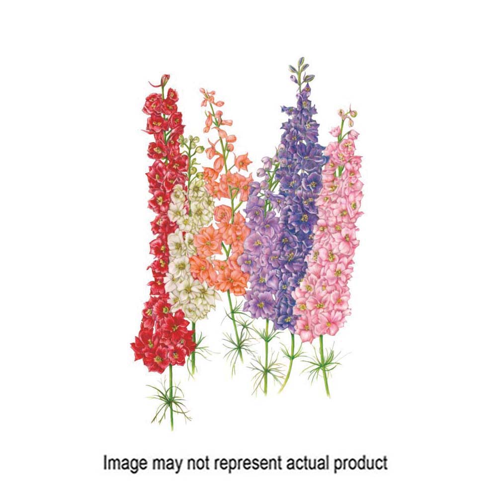 Botanical Interests 2036 Flower Seed, Larkspur, Consolida Regalis, Spring to Summer Bloom, 750 mg