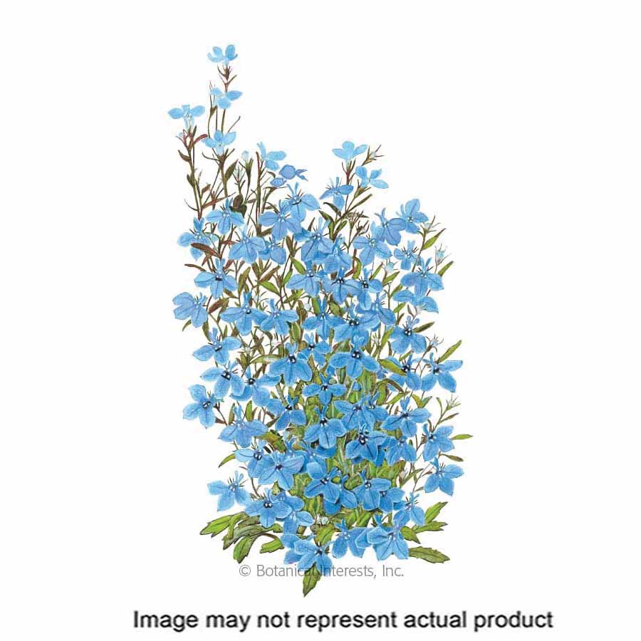 Botanical Interests 1076 Flower Seed, Lobelia, Lobelia Erinus, Spring to Frost Bloom, Light Blue Bloom, 125 mg