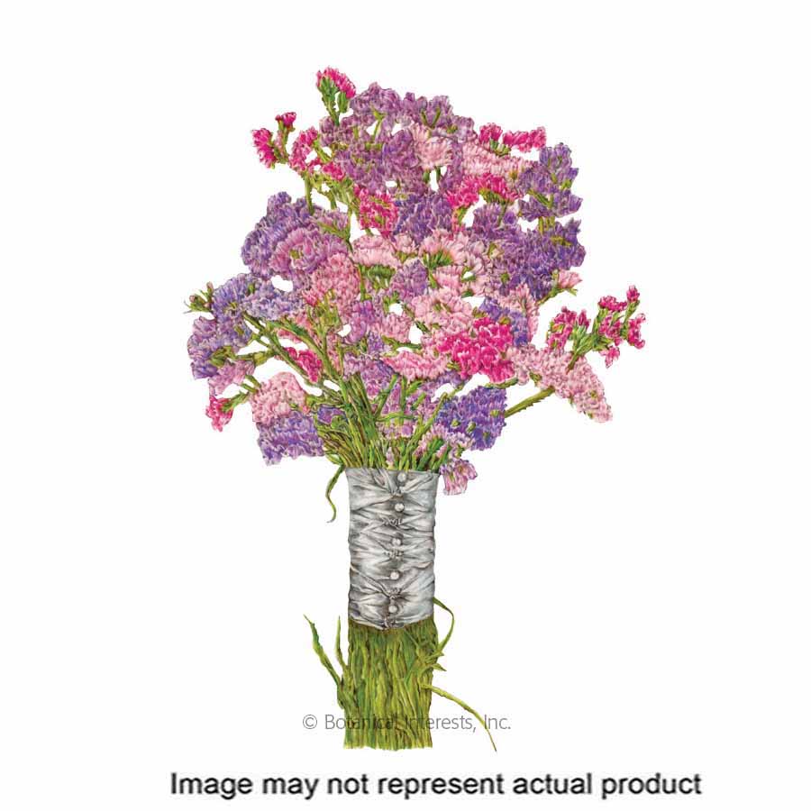 Botanical Interests 1413 Flower Seed, Statice, Limonium Sinuatum, Late Summer Planting, Summer Bloom, 250 mg