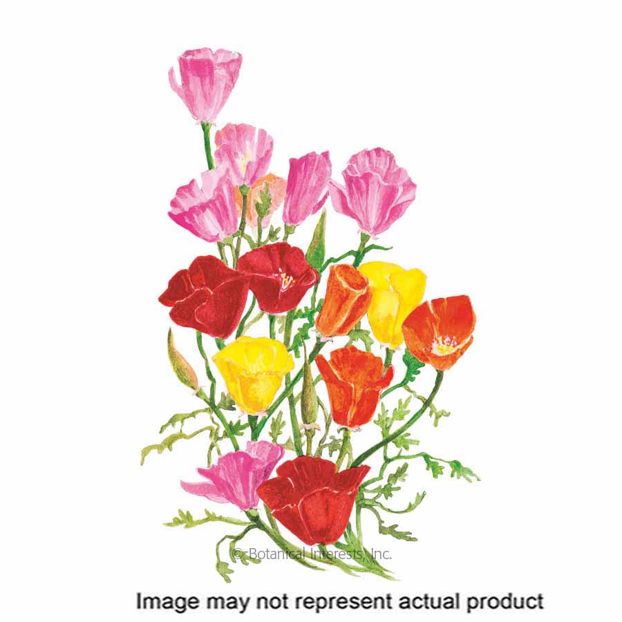 Botanical Interests 2043 Organic Flower Seed, Poppy, Esch