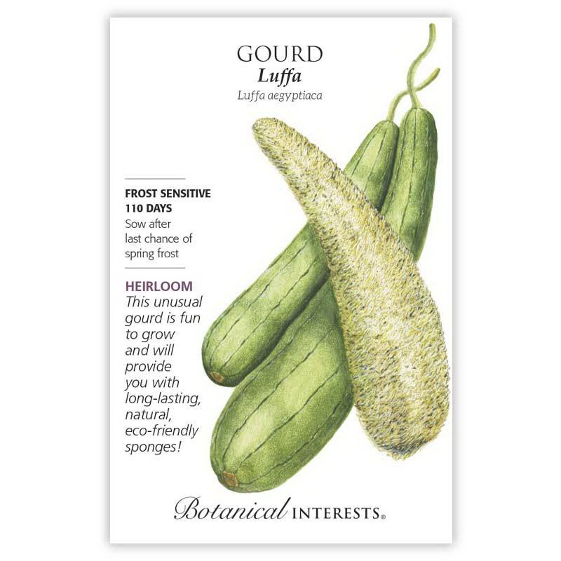 Botanical Interests 1258 Vegetable Seed, Luffa Gourd, Luffa Aegyptiaca, 2.5 g