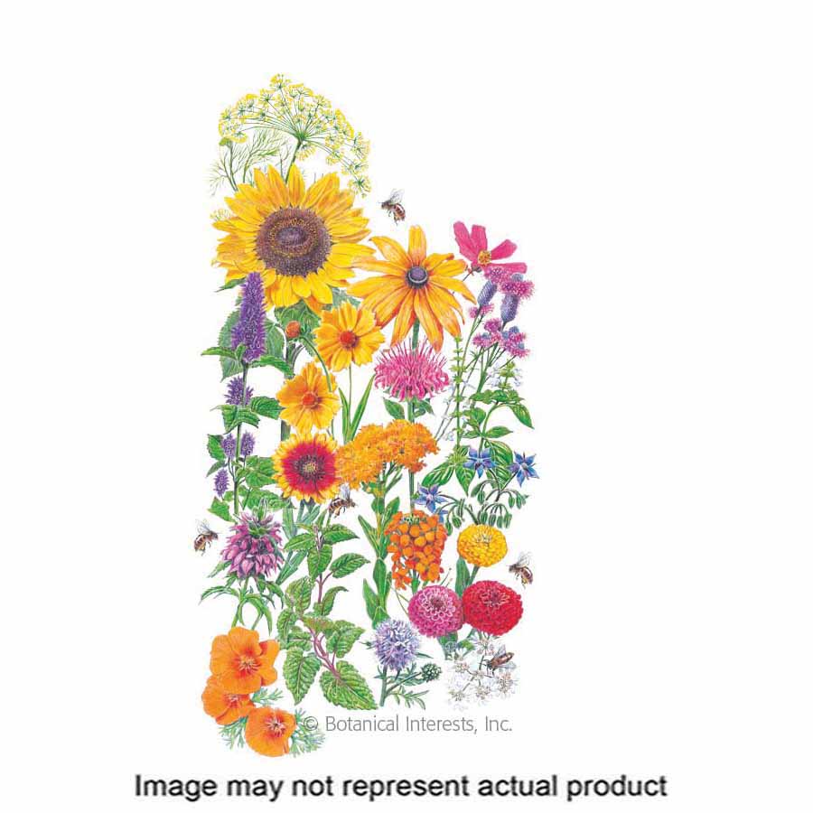 Botanical Interests 1906 Mixed Flower Seed, Fall Through Early Spring Planting, 4 g