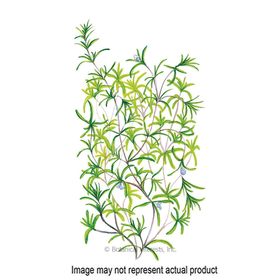 Botanical Interests 5041 Herb Seed, Summer Savory, Satureja Hortensis, 750 mg