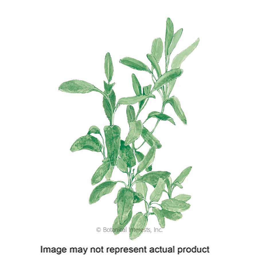 Botanical Interests 5040 Herb Seed, 12 to 18 in Minimum Spacing, Broadleaf Sage, Salvia Officinalis