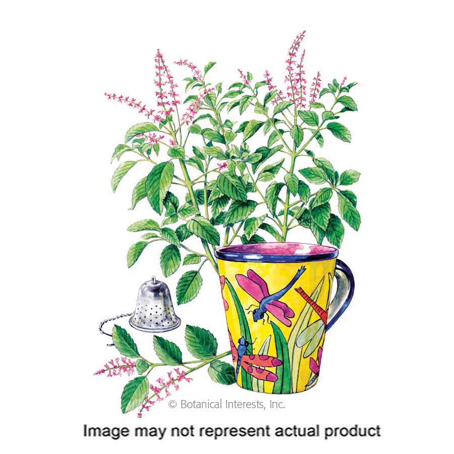 Botanical Interests 6132 Herb Seed, Tulsi Holy Basil, Ocimum Sp, 300 g