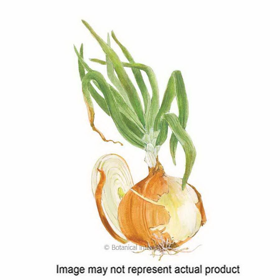 Botanical Interests 0194 Vegetable Seed, Yellow Granex PRR Bulb Onion, Allium Cepa, 750 g