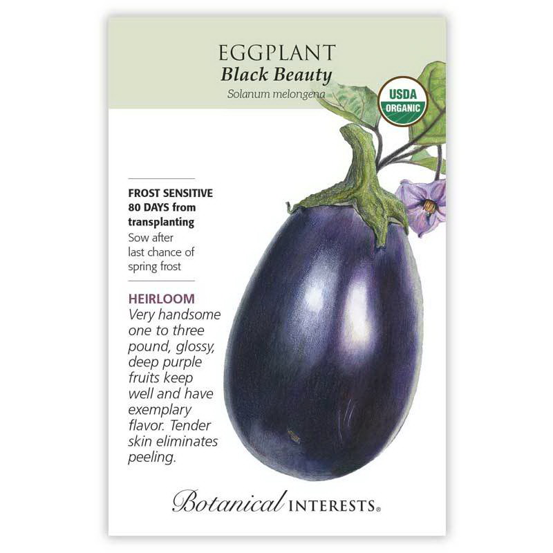 Botanical Interests 3045 Vegetable Seed, Eggplant, Solanum Melongena, 500 mg Pack - 2