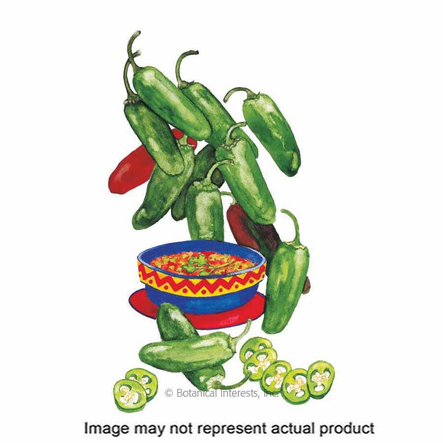 Botanical Interests 3060 Vegetable Seed, Early Jalapeno Chile Pepper, Capsicum Annuum, 400 mg