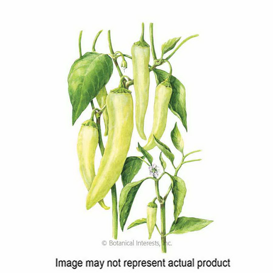 Botanical Interests 3080 Vegetable Seed, Sweet Banana Sweet Pepper, Capsicum Annuum