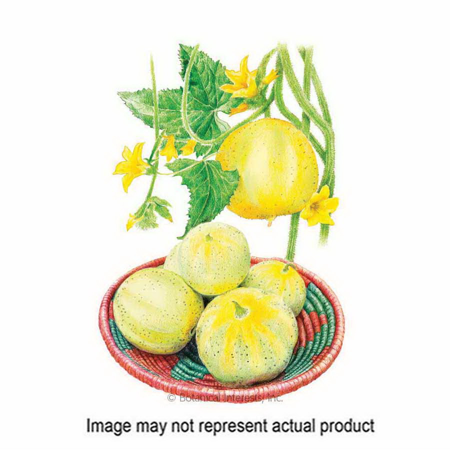 Botanical Interests 3099 Vegetable Seed, Lemon Cucumber, Cucumis Sativus, 1 g - 1