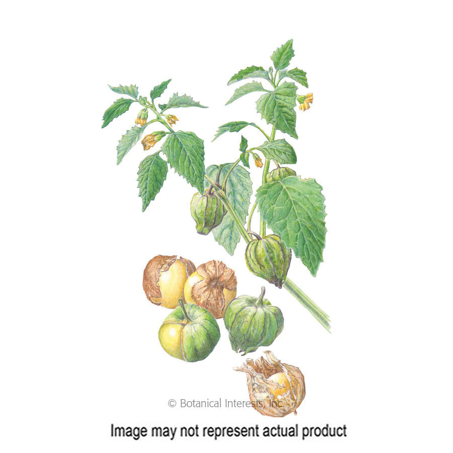 Botanical Interests 3164 Fruit Seed, Pineapple Tomatillo, Physalis Pruinosa, Yellow Bloom, 250 mg Pack