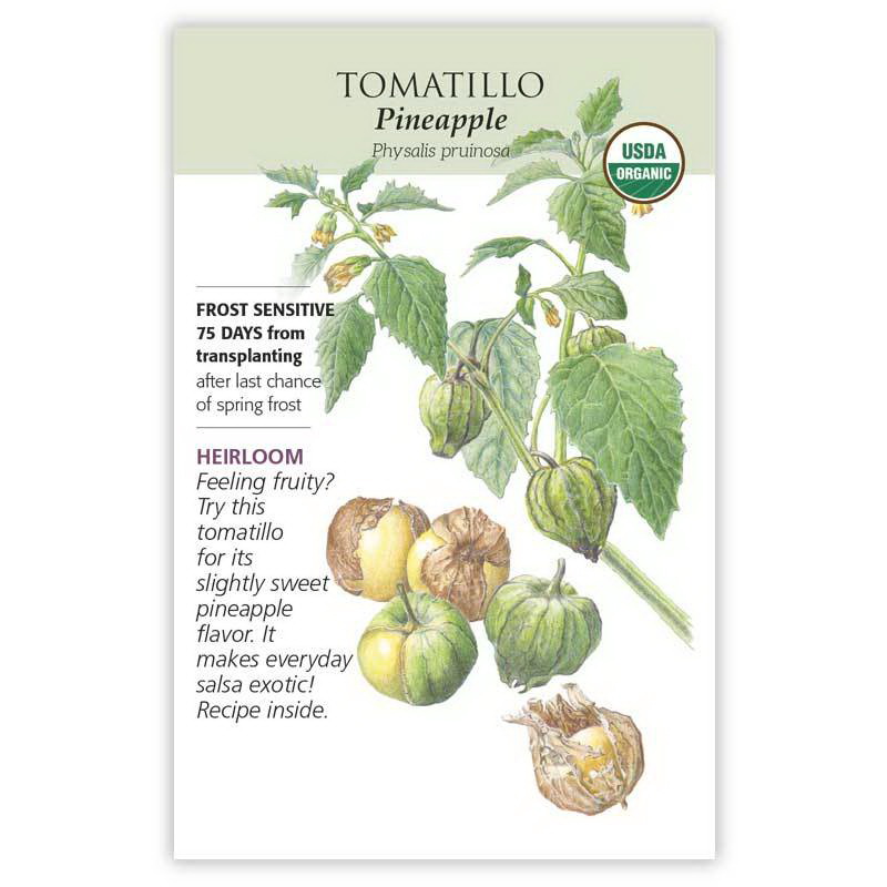 Botanical Interests 3164 Fruit Seed, Pineapple Tomatillo, Physalis Pruinosa, Yellow Bloom, 250 mg Pack