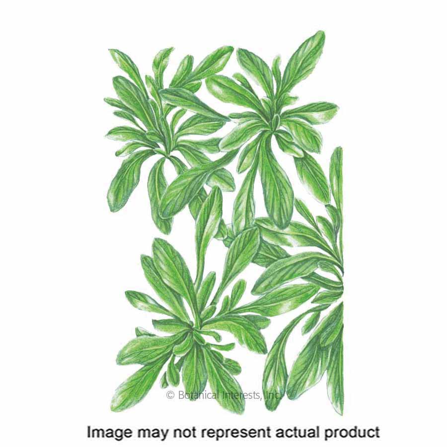Botanical Interests 0306 Vegetable Seed, Mache, Valerianella Locusta, Fall, Winter Planting, Late Summer Harvest, 1.5 g