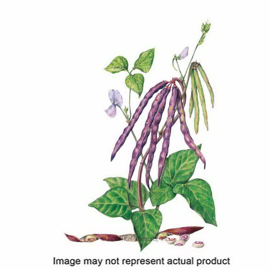 Botanical Interests 0261 Vegetable Seed, Cowpea Bean, Vigna Unguiculata, 25 g