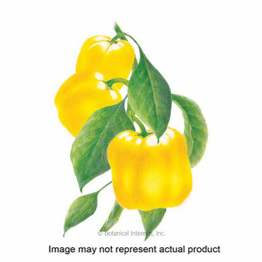 Botanical Interests 3009 Botanical Interests 3009 Vegetable Seed, 65 to 75 days Days, Sweet Pepper, Capsicum Annuum, Late Summer Planting - 1