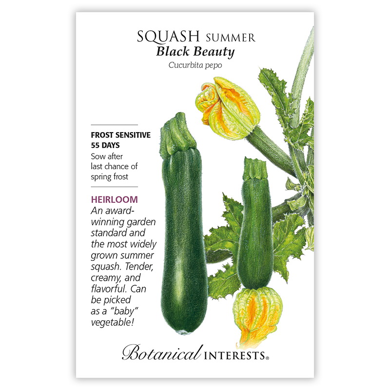 Botanical Interests 3049 Vegetable Seed, 55 days Days, Squash, Cucurbita Pepo, 3 g Pack