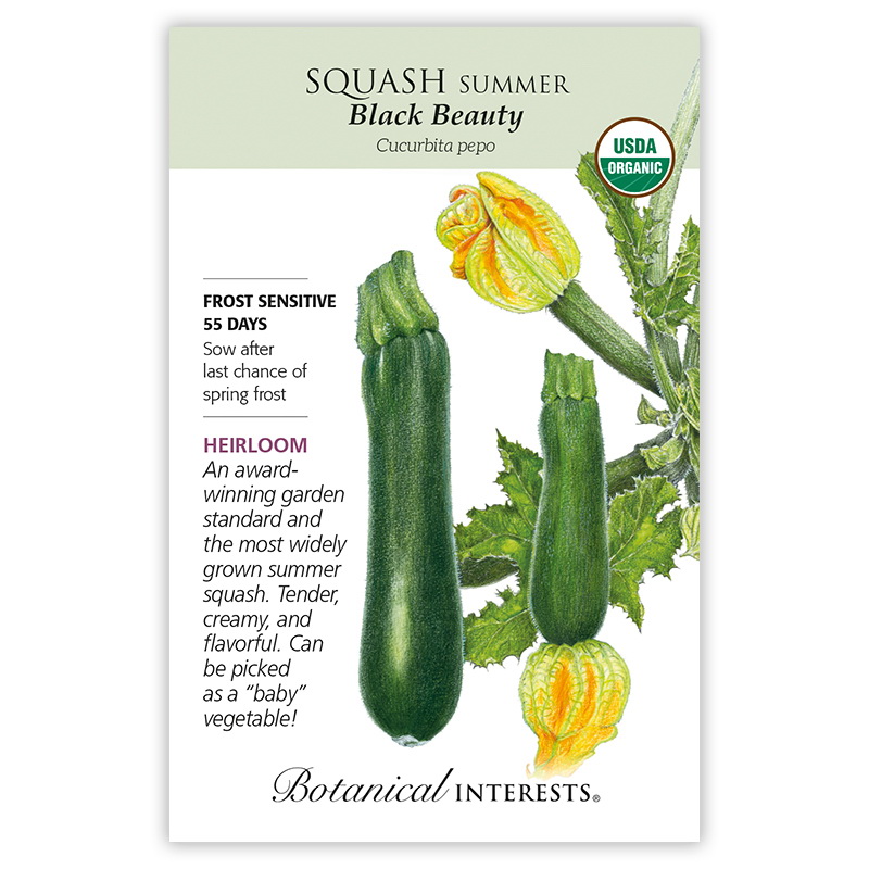 Botanical Interests 3049 Vegetable Seed, 55 days Days, Squash, Cucurbita Pepo, 3 g Pack