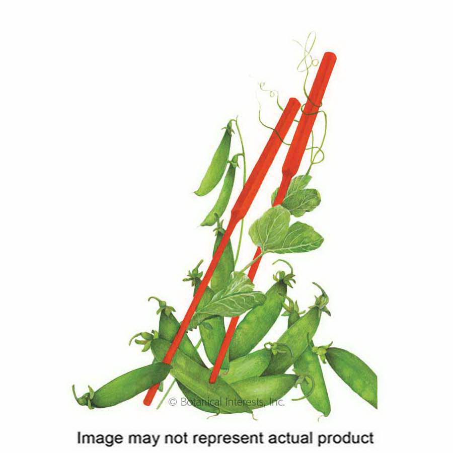 Botanical Interests 3072