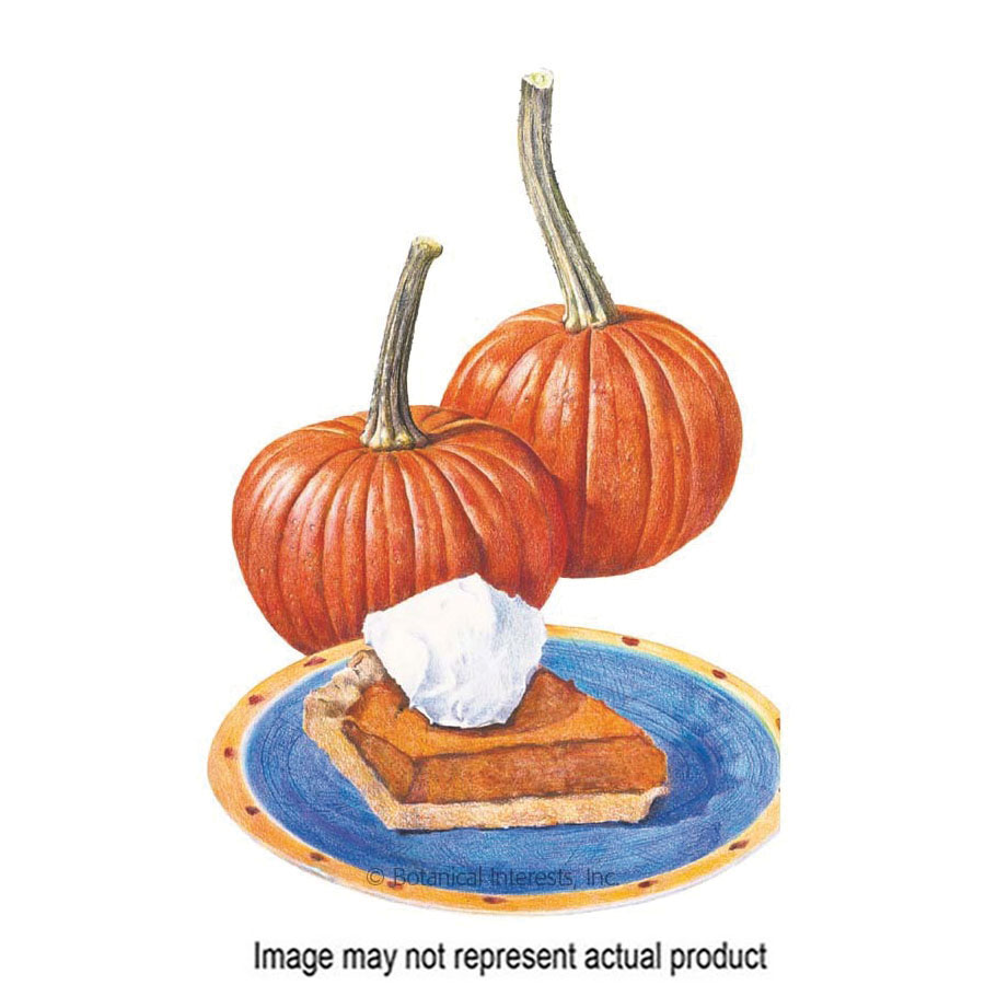 Botanical Interests 3128 Vegetable Seed, Pumpkin, Cucurbita Pepo, 2.5 g Pack