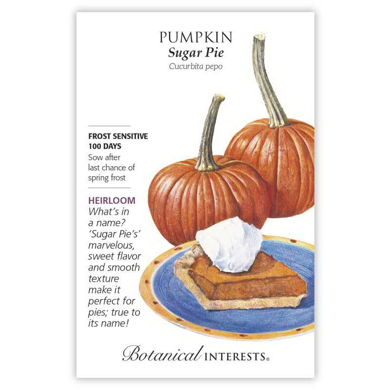 Botanical Interests 3128 Vegetable Seed, Pumpkin, Cucurbita Pepo, 2.5 g Pack