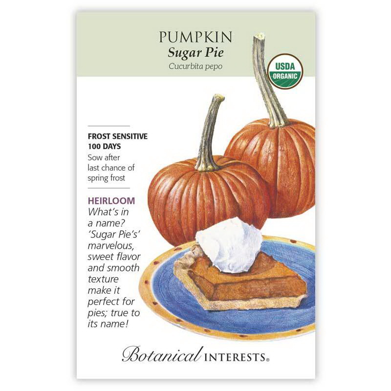 Botanical Interests 3128 Vegetable Seed, Pumpkin, Cucurbita Pepo, 2.5 g Pack