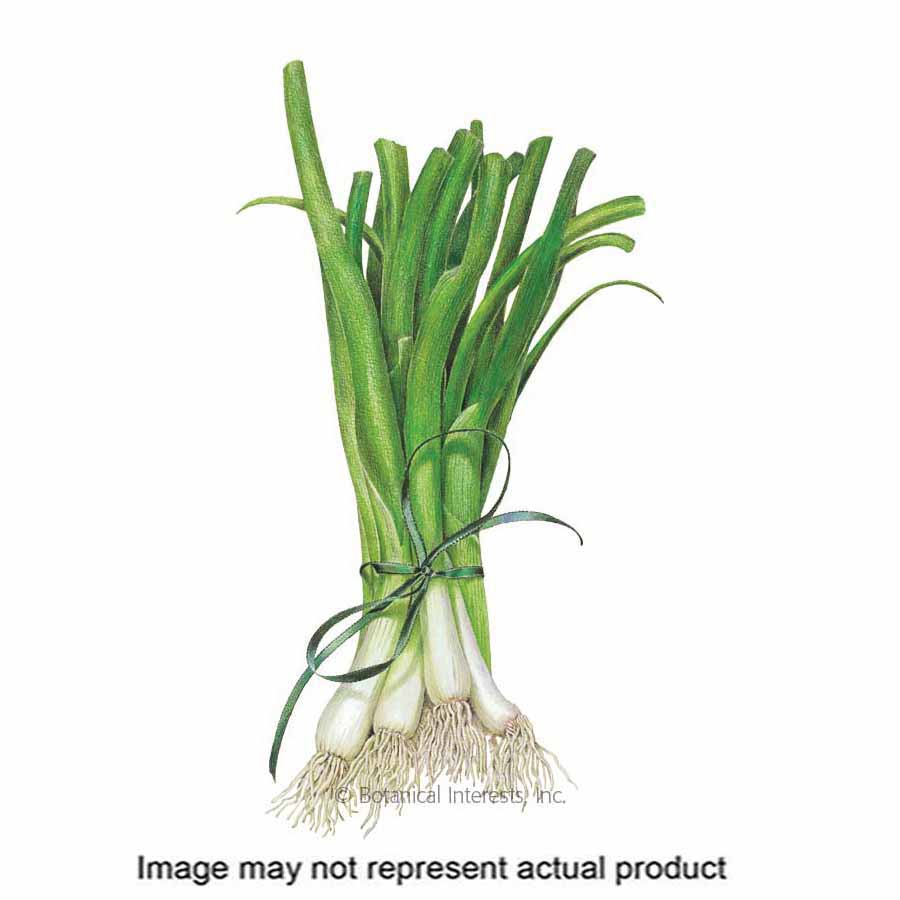 small automatic electric portable leek scallion