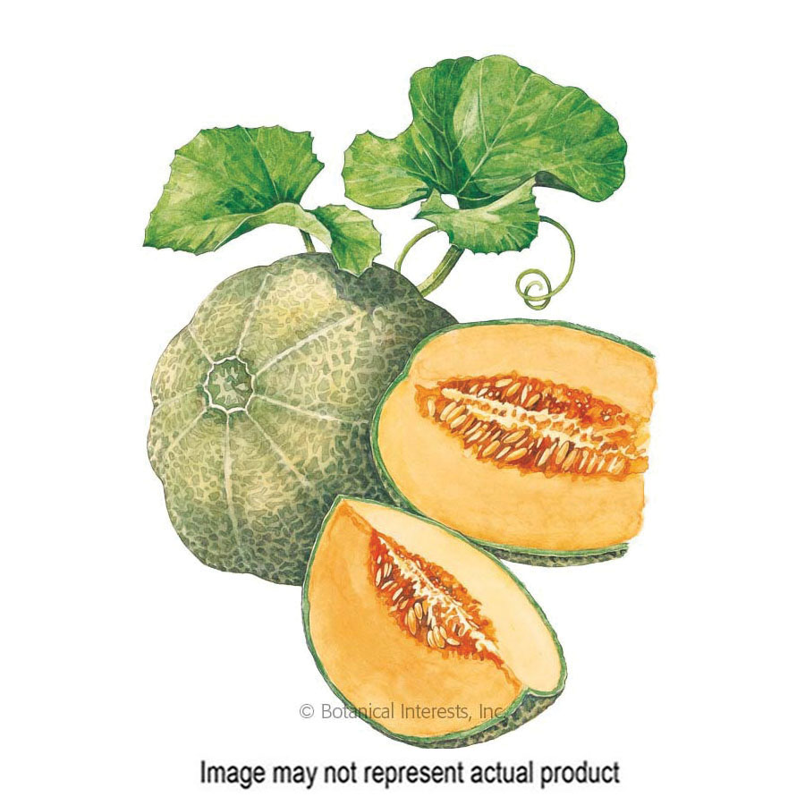 Botanical Interests 3141 Vegetable Seed, 60 to 70 days Days, Cantaloupe, Cucumis Melo, 1 g Pack