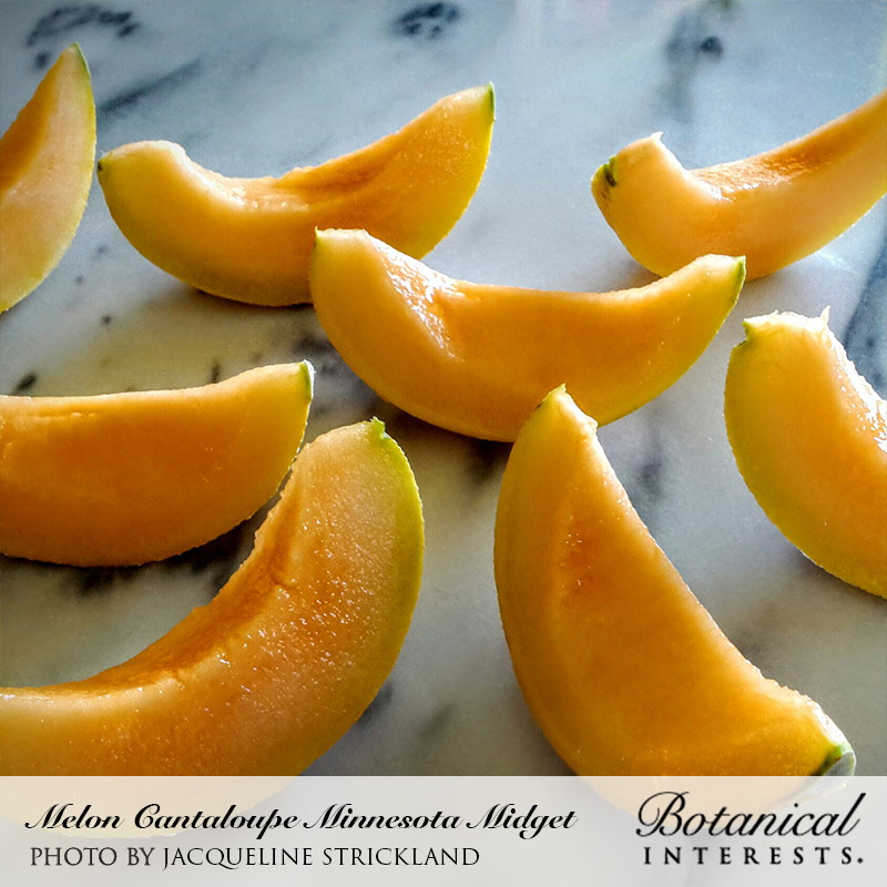Botanical Interests 3141 Vegetable Seed, 60 to 70 days Days, Cantaloupe, Cucumis Melo, 1 g Pack