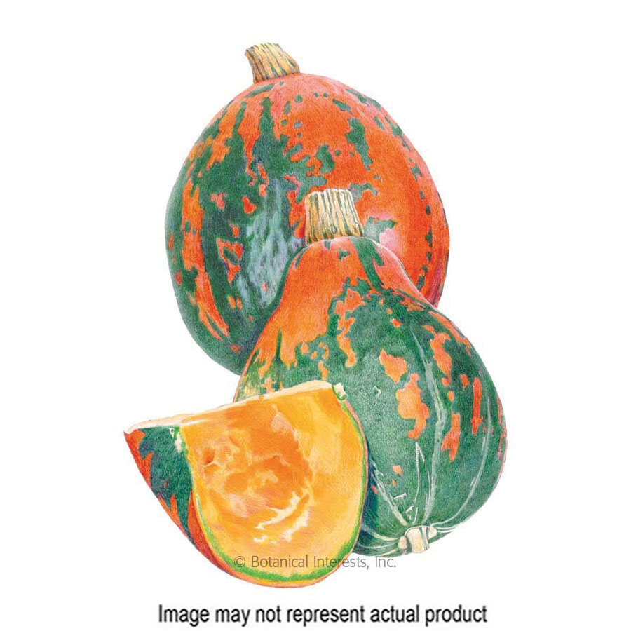 Botanical Interests 3149 Vegetable Seed, Squash, Cucurbita Maxima, 2 g Pack