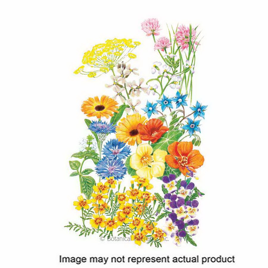 Botanical Interests 7026 Mixed Flower Seed, Includes: Arugula, Bachelor's Button, Basil, Borage, Calendula