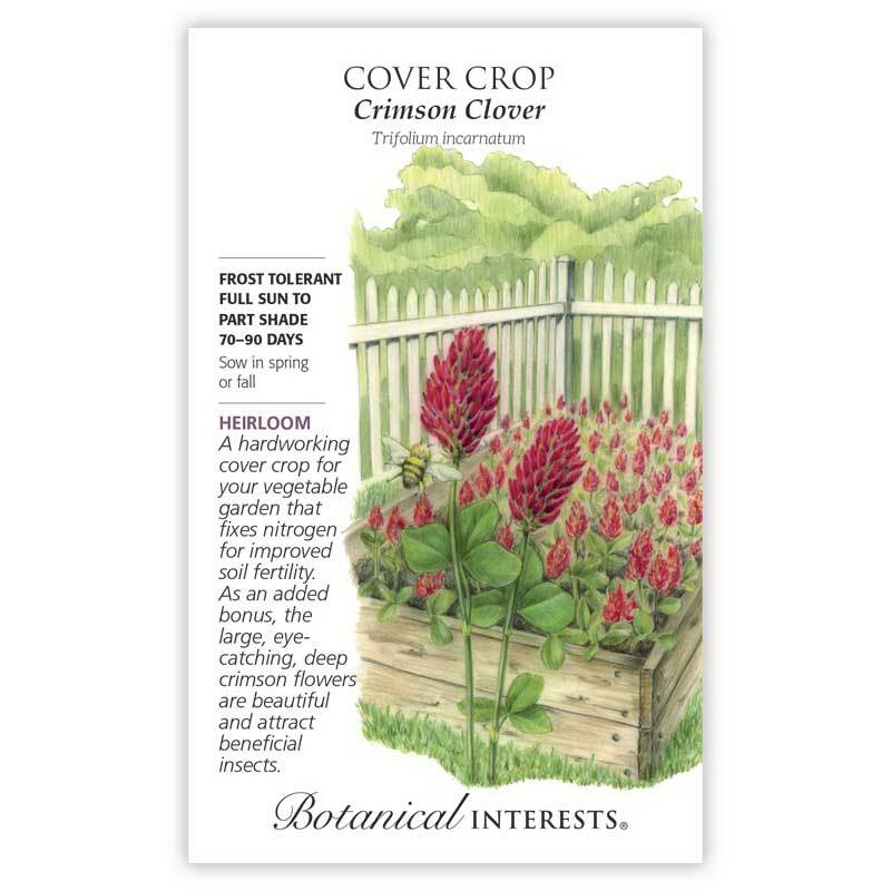 Botanical Interests 7280 Vegetable Seed, Clover Cover Crop, Trifolium Incarnatum, 40 g Pack - 2
