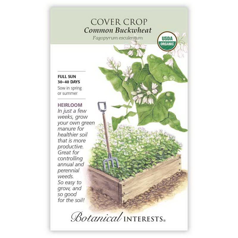 Botanical Interests 7606 Vegetable Seed, Buckwheat Cover Crop, Fagopyrum Esculentum, 65 g Pack - 2