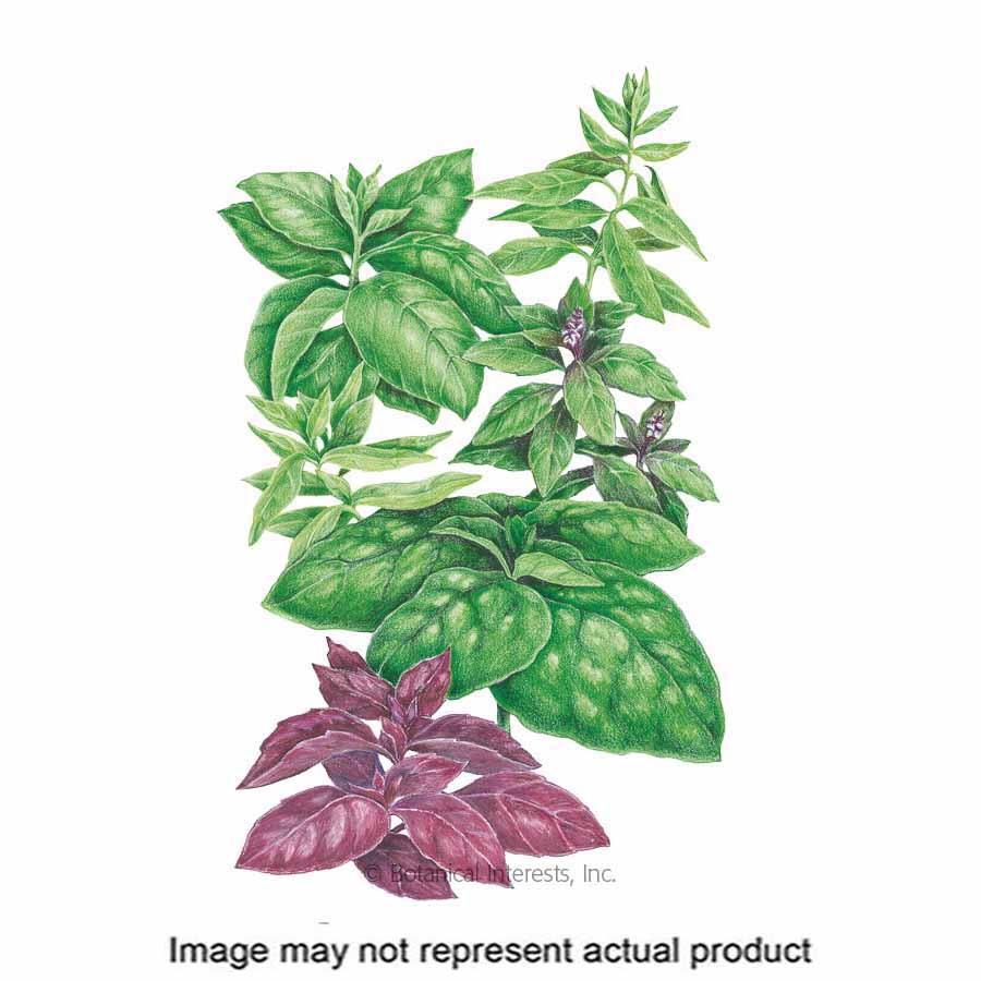 Botanical Interests 7752 Vegetable Seed Basil Ocimum Ba