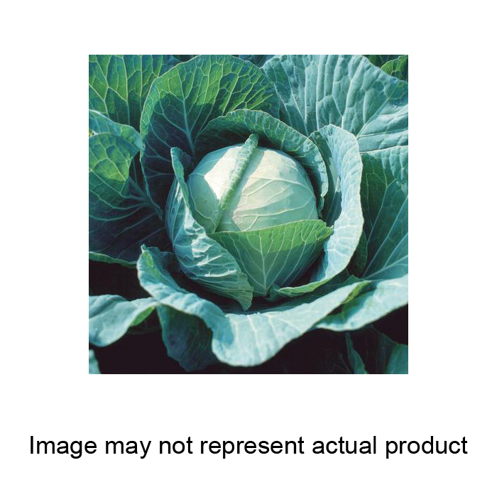 Territorial Seed 300011