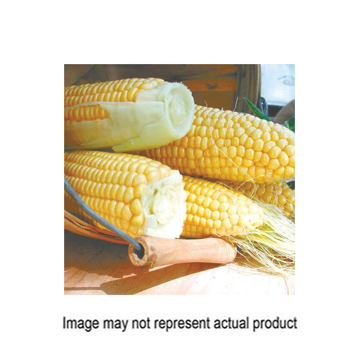 Territorial Seed 300018