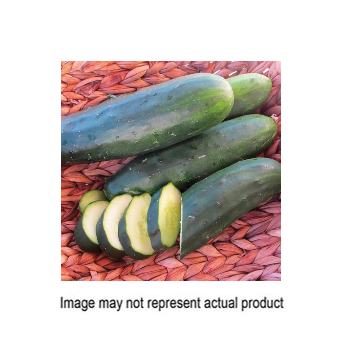 Territorial Seed 300019