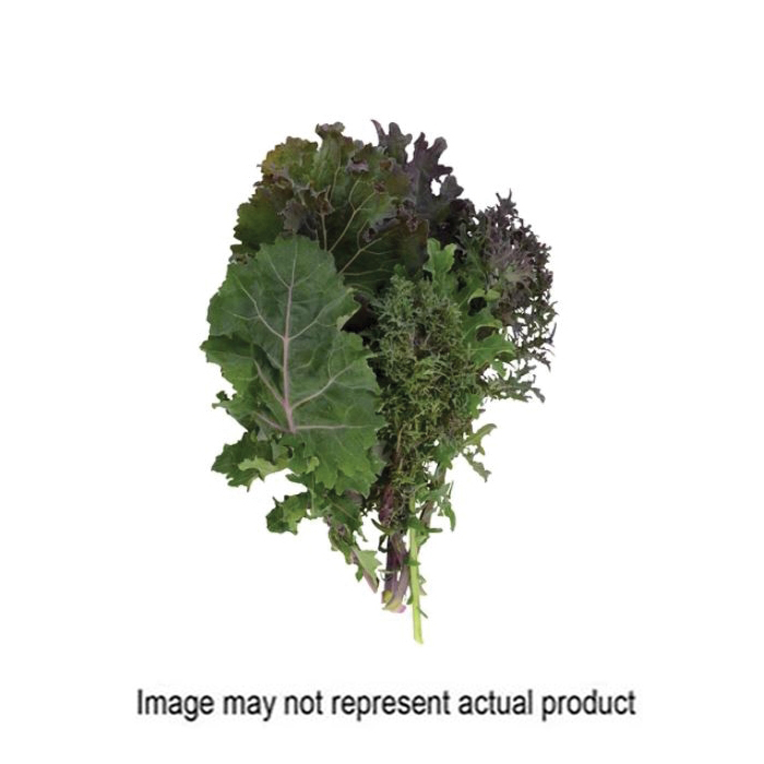 Territorial Seed 300024