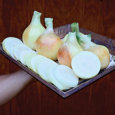 Vegetable Seed, Territorial Seed, Onion, Allium Cepa - 2