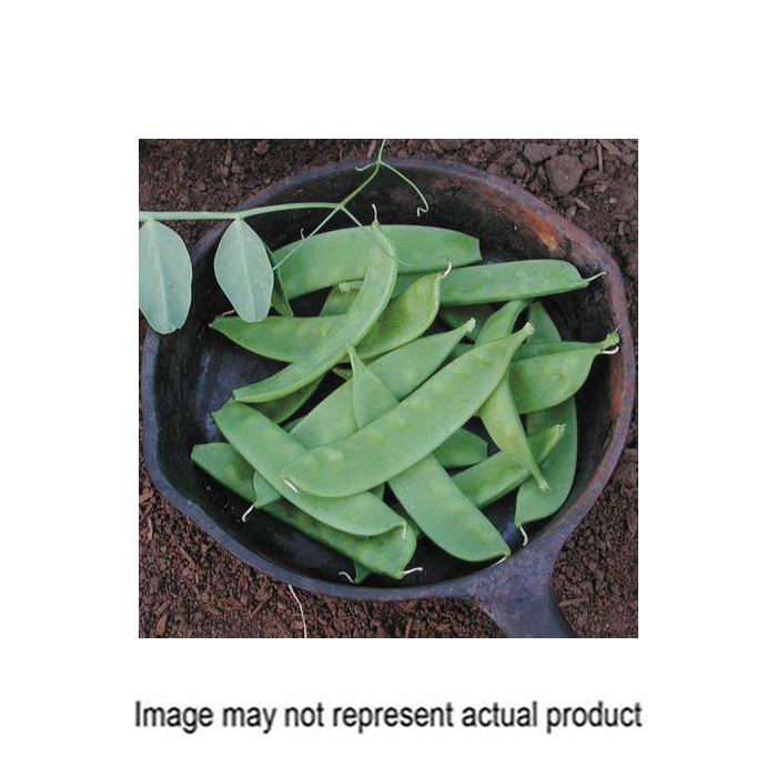 Territorial Seed 300050
