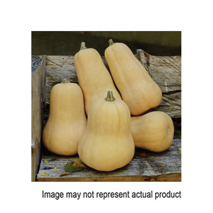 Territorial Seed 300068