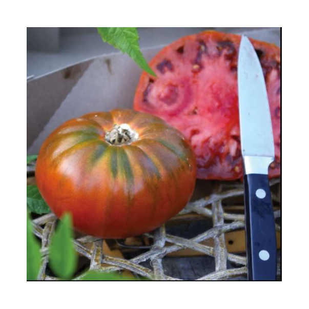 Vegetable Seed, Territorial Seed, Tomato, Lycopersicon Lycopersicum - 2