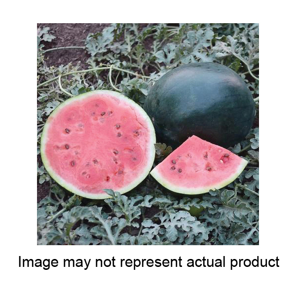 Territorial Seed 300084