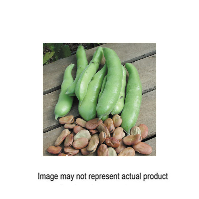 Territorial Seed BN049/S