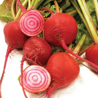 Vegetable Seed, Territorial Seed, Beets, Beta Vulgaris, June to August Planting, Fall, Winter Harvest, 5 g - 2