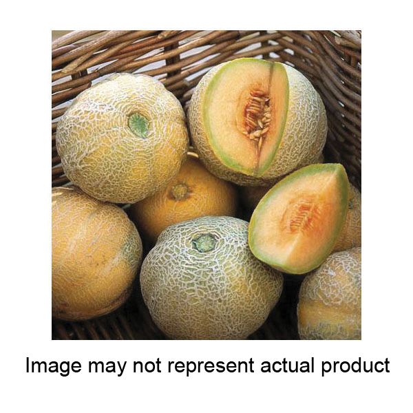 Territorial Seed ML460/S