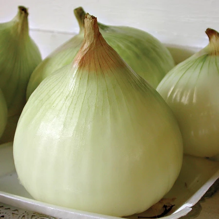 Vegetable Seed, Territorial Seed, Onion, Allium Cepa, Spring Planting - 2