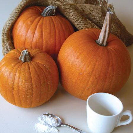 Vegetable Seed, Territorial Seed, Pumpkin, Cucurbita Spp. - 2