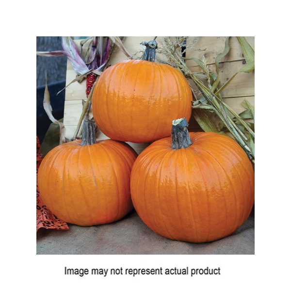 Territorial Seed PU719/S